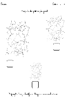 fiche-pedagogique-classement53.gif