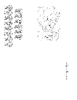 cartecolorierpaques31.gif