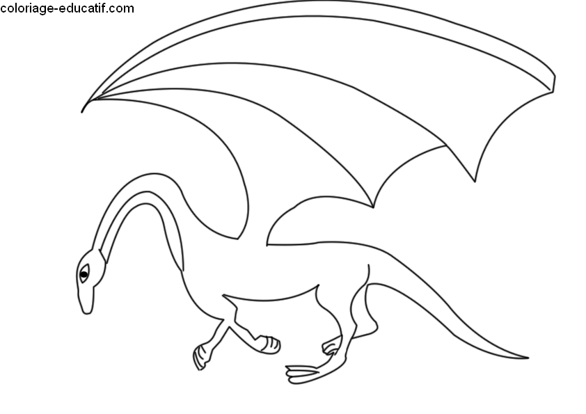 coloriage-dragon5_02.gif
