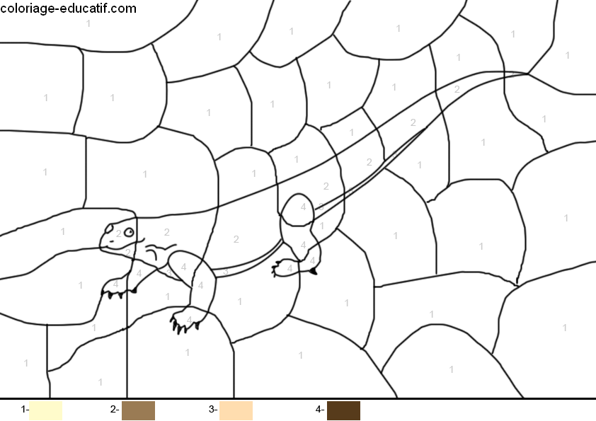 coloriage-dragon_04.gif