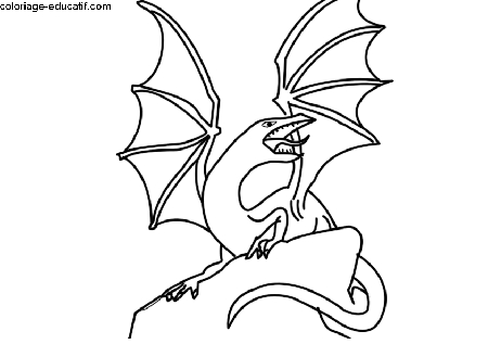 coloriage-dragon2_02.gif
