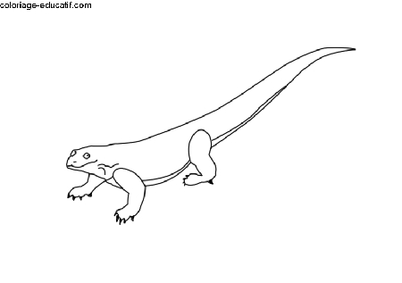 coloriage-dragon_03.gif