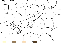 coloriage-dragon_04.gif