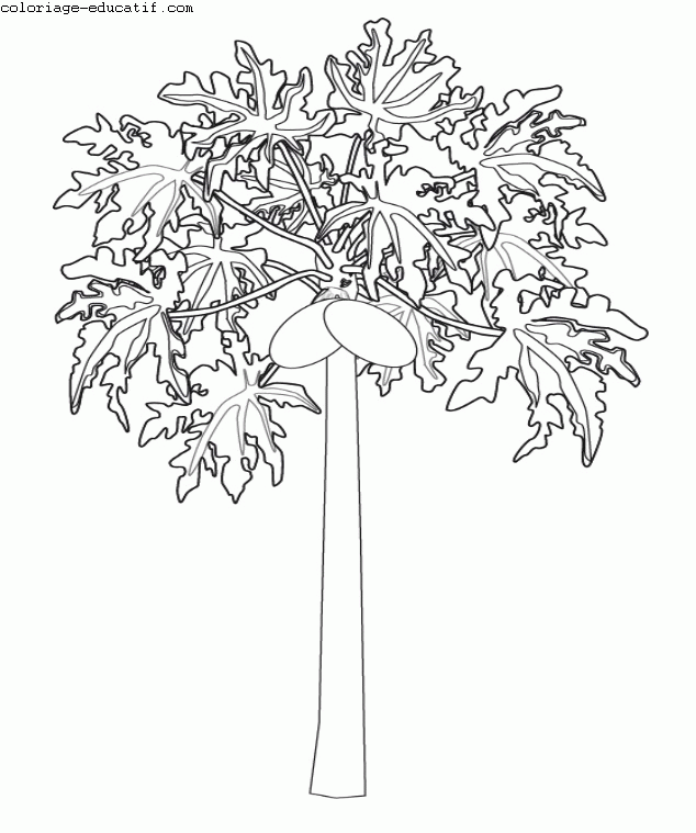 coloriagedefleurs.gif