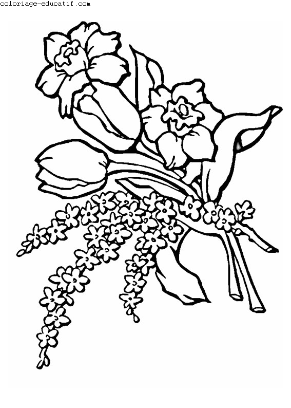 coloriagedefleurs03.gif