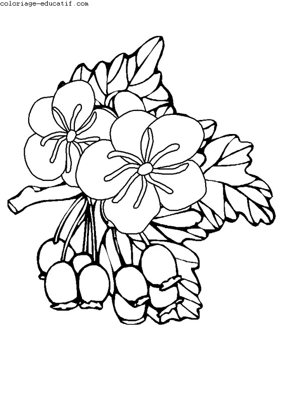 coloriagedefleurs10.gif