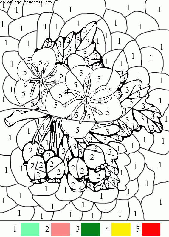 coloriagedefleurs10_02.gif