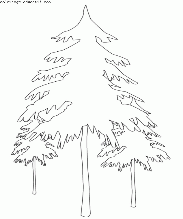 coloriagedefleurs1_02.gif