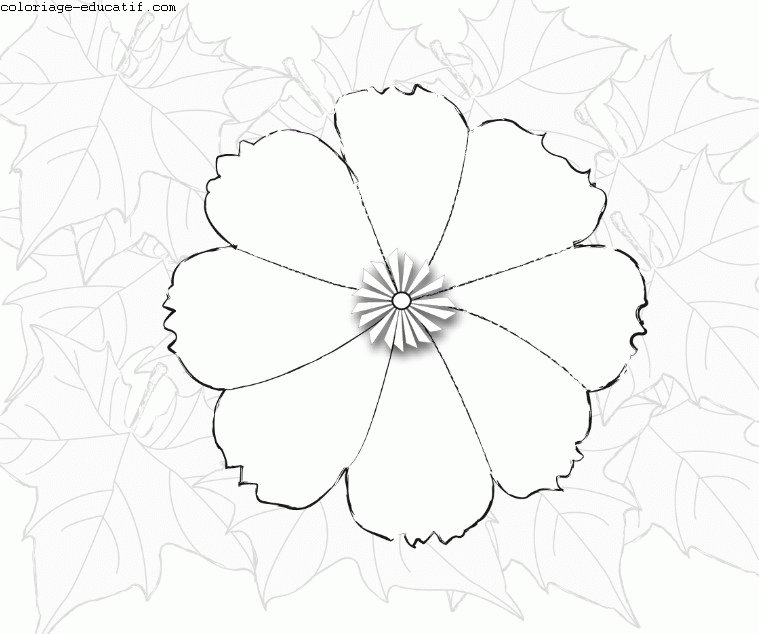 coloriagedefleurs3.gif