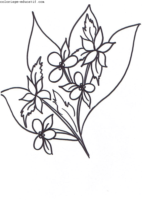 coloriagedefleurs4_02.gif