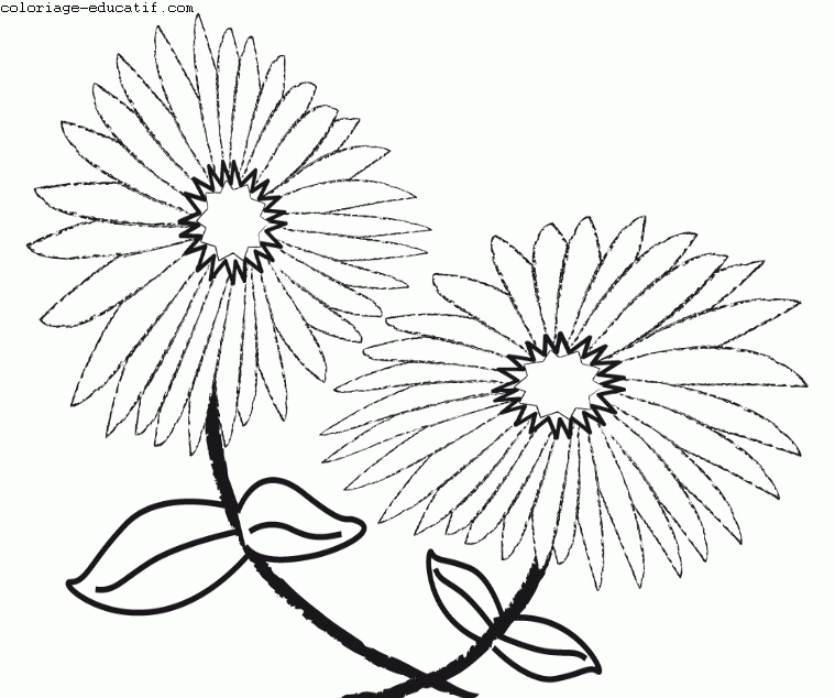 coloriagedefleurs5.gif