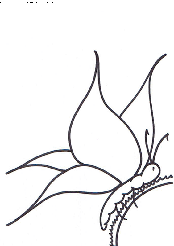 coloriagedefleurs_03.gif