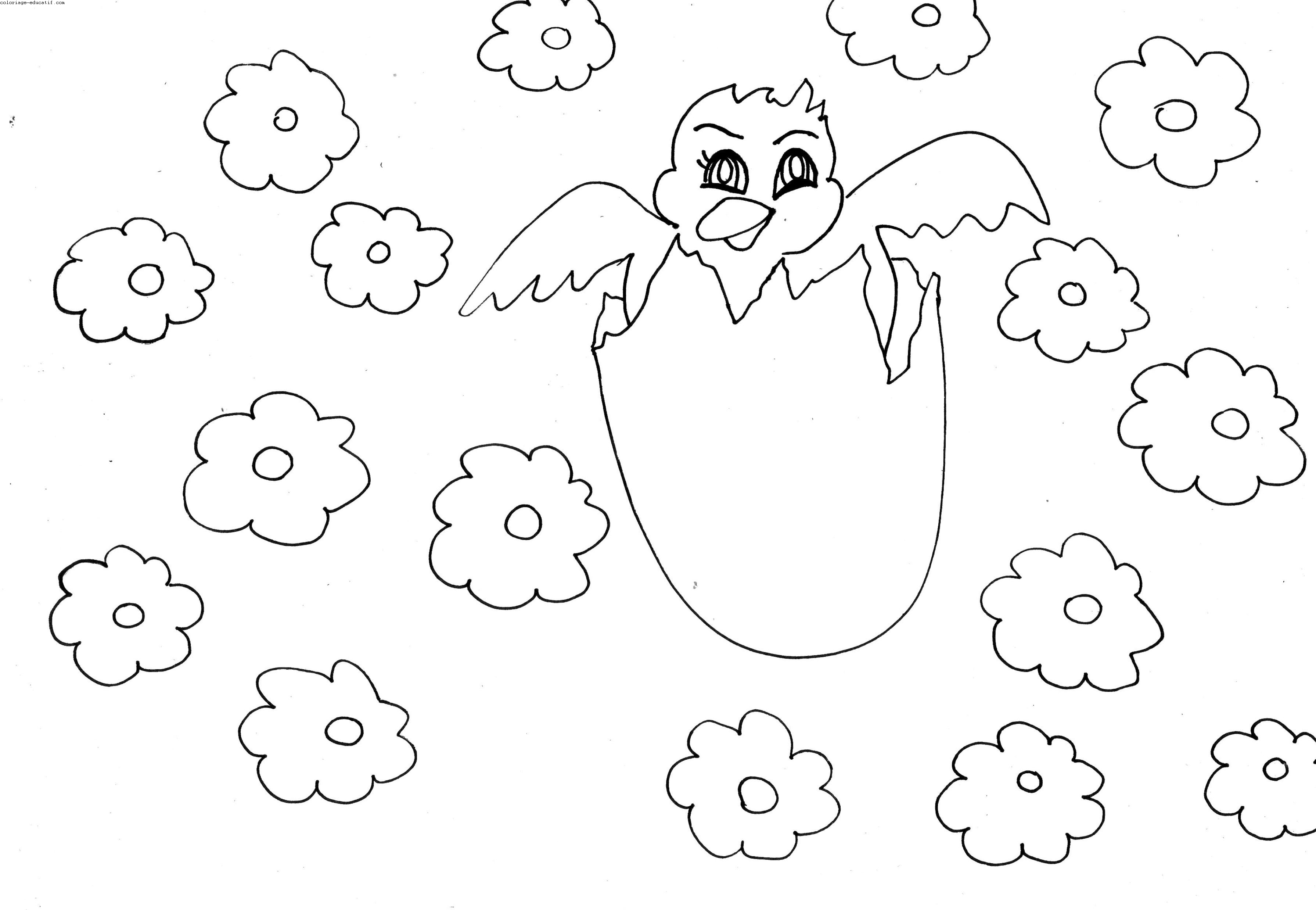 coloriagefleurs.gif