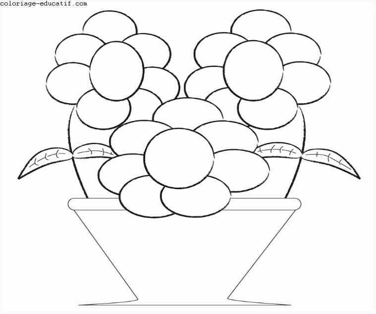 coloriagefleurs1.gif