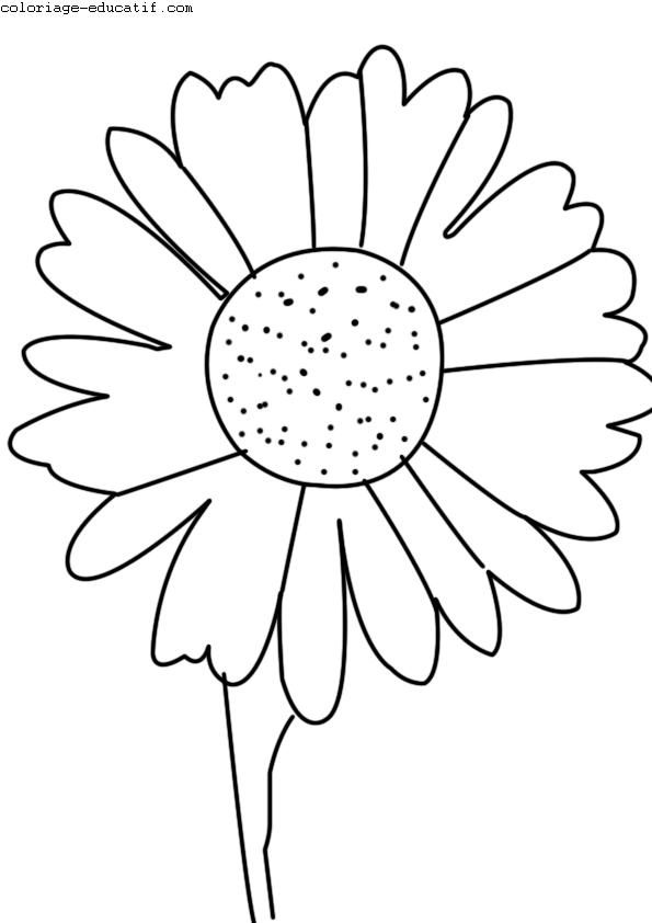 coloriagefleurs_03.gif