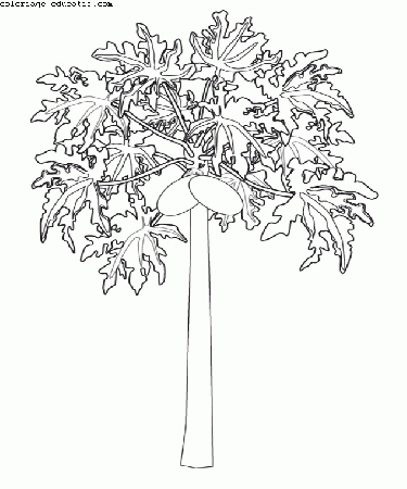 coloriagedefleurs.gif