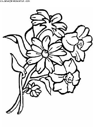 coloriagedefleurs01.gif