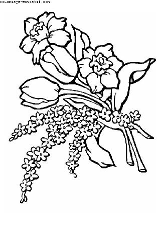 coloriagedefleurs03.gif