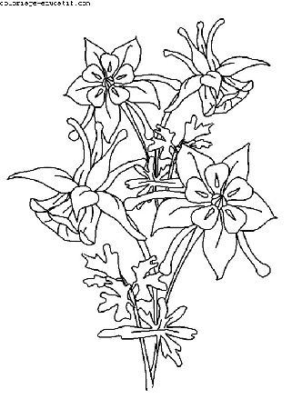coloriagedefleurs04.gif