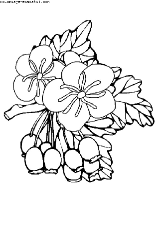 coloriagedefleurs10.gif