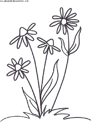 coloriagedefleurs2_02.gif