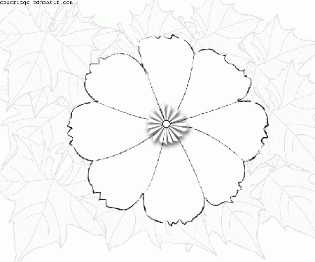 coloriagedefleurs3.gif