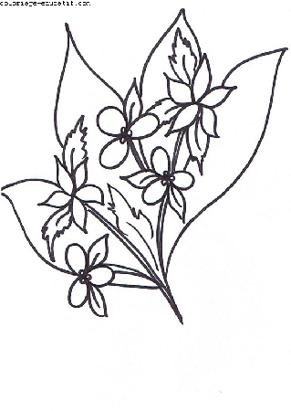 coloriagedefleurs4_02.gif