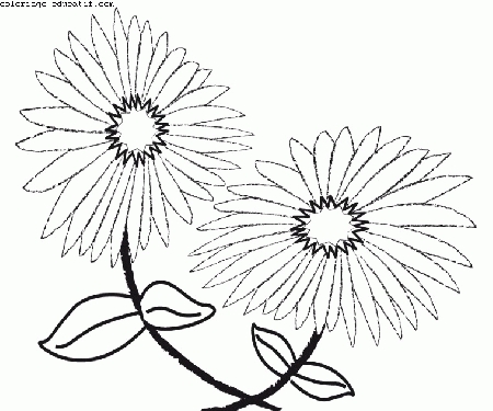 coloriagedefleurs5.gif