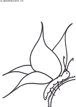 coloriagedefleurs_03.gif
