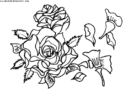 coloriagedefleurs_06.gif