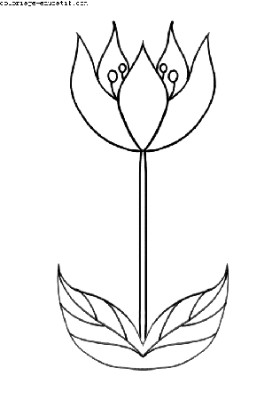 coloriagefleurs_06.gif