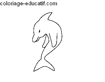 Ocean6.gif