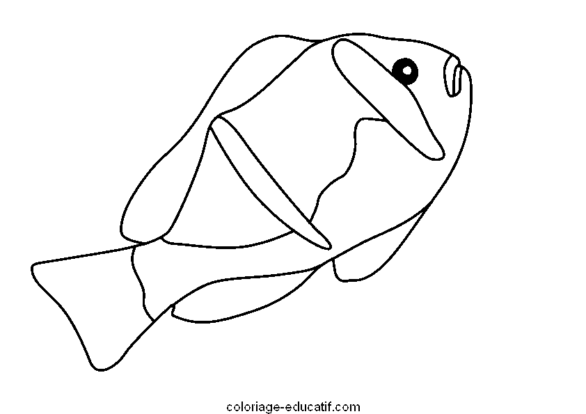 coloriagepoissons2_03.gif