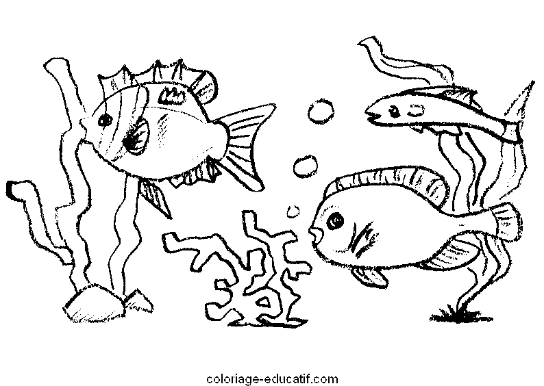 coloriagepoissons2_04.gif