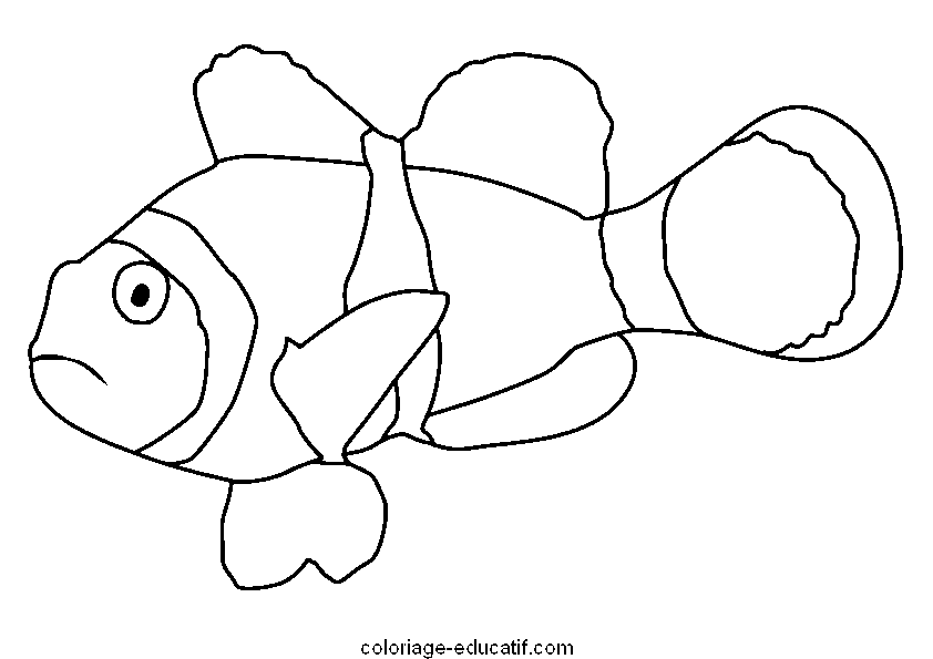 coloriagepoissons4.gif