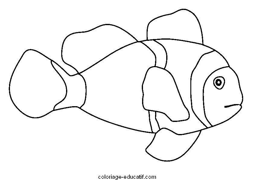 coloriagepoissons6.gif