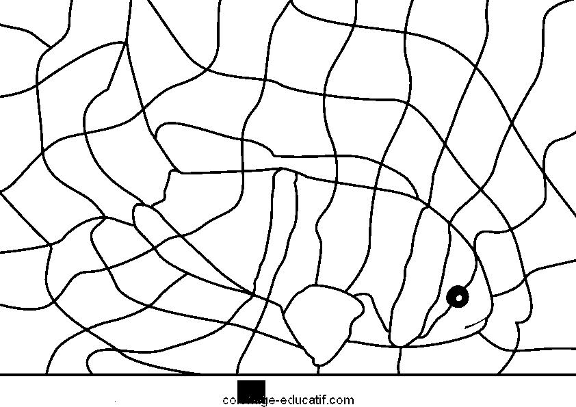 coloriagepoissons7_02.gif