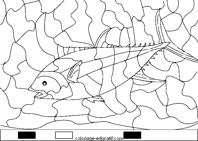 coloriagepoissons_07.gif