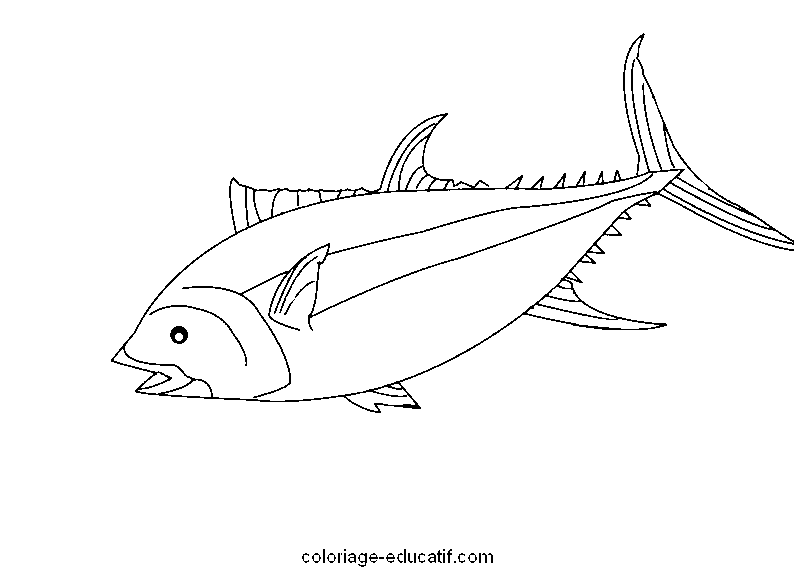 coloriagepoissons_08.gif