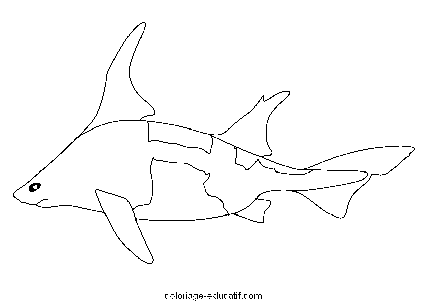 coloriagepoissons_17.gif