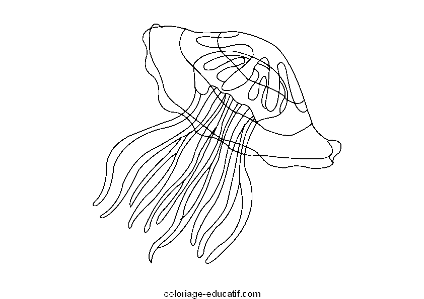 coloriagepoissons_35.gif