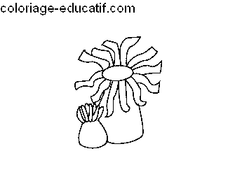 marionnette-coloriage-ocean-5.gif