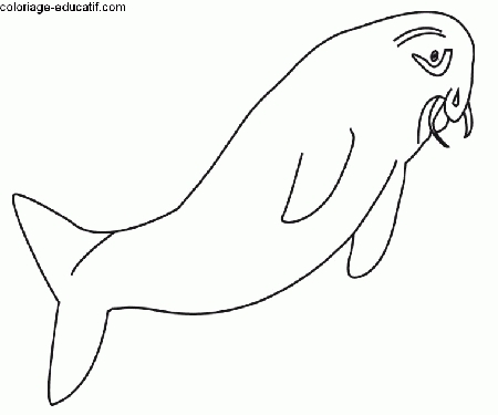 coloriage-poissons3.gif