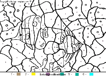 coloriagepoissons17.gif