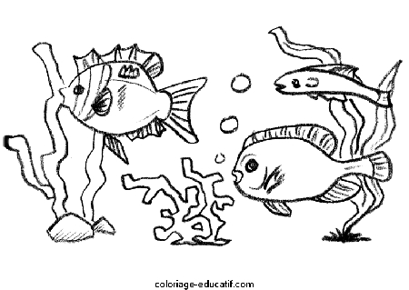 coloriagepoissons2_04.gif