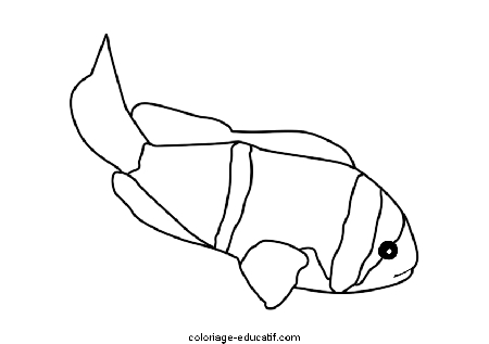 coloriagepoissons7.gif