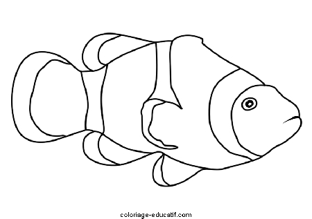 coloriagepoissons8_03.gif