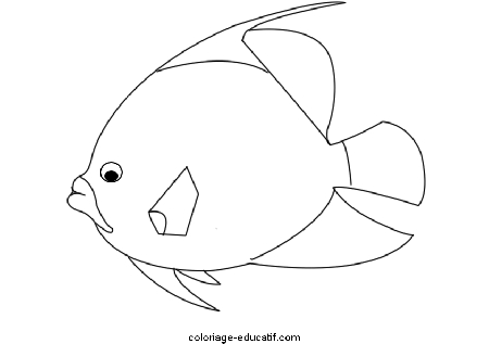 coloriagepoissons_03.gif