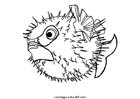 coloriagepoissons_05.gif
