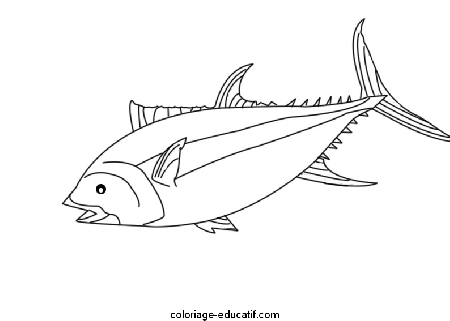 coloriagepoissons_08.gif